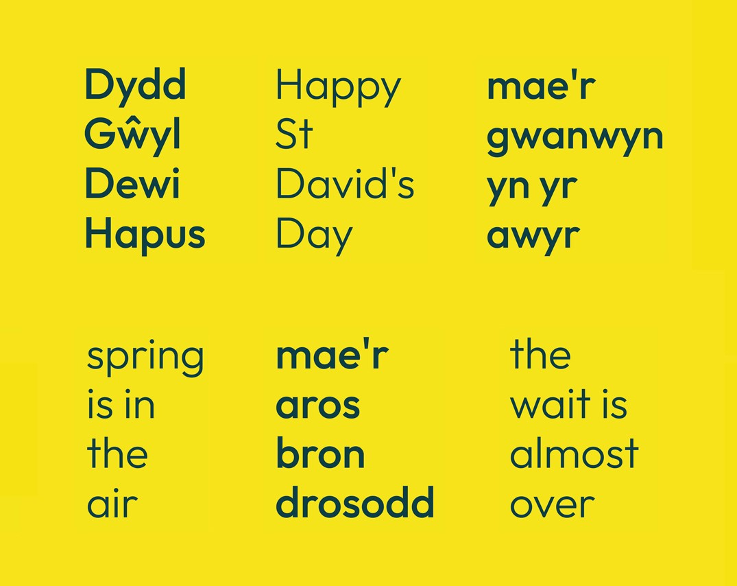 Dydd Gŵyl Dewi Hapus